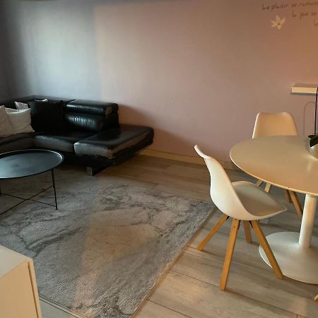Superbe Appartement Avec Place De Parking Gratuit Страсбург Екстер'єр фото