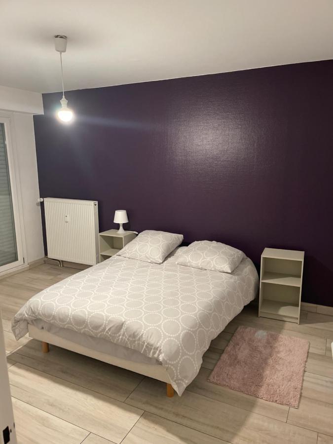 Superbe Appartement Avec Place De Parking Gratuit Страсбург Екстер'єр фото